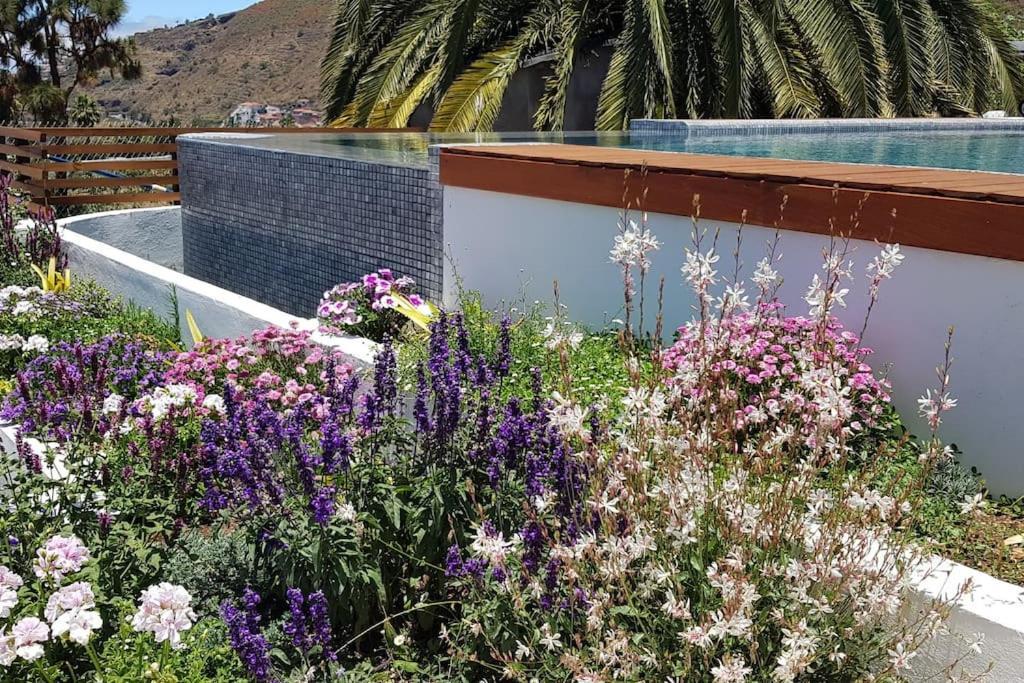 Casa Vina: A Spectacular Away From It All Holiday La Orotava Exterior photo